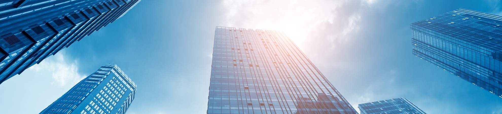 關於今晧 關於今晧